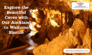 Waitomo shuttle services