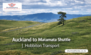 Auckland to Matamata Shuttle